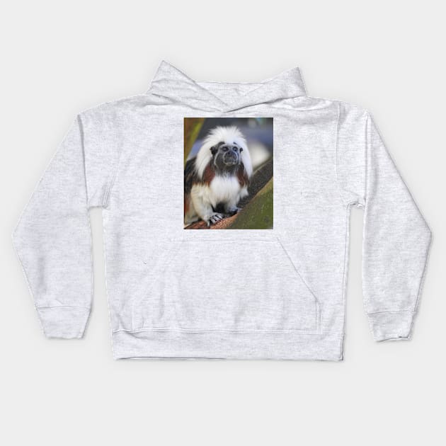 Cotton-top Tamarin Kids Hoodie by kirstybush